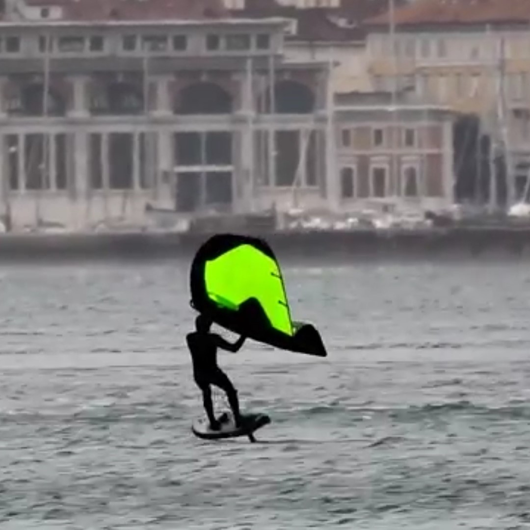 wingfoil pictures reptile